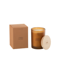 SCENTED CANDLE IN FROSTED GLASS |  AMBRE INTIME