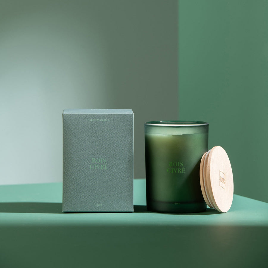 SCENTED CANDLE IN FROSTED GLASS |  BOIS GIVRE