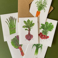 PACK 6 NOTECARDS |  MIXED VEGETABLES