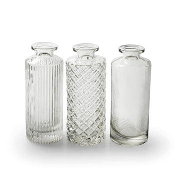 CLEAR GLASS ALANIS BOTTLE VASE | 3 DESIGNS