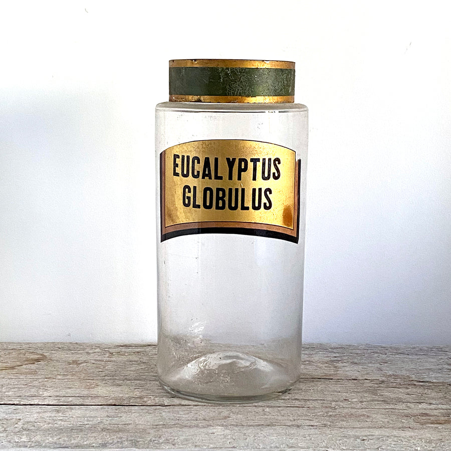 VINTAGE FRENCH  APOTHECARY DISPENSING JAR | EUCALYPTUS GLOBULUS