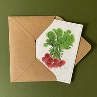 PACK 6 NOTECARDS |  MIXED VEGETABLES