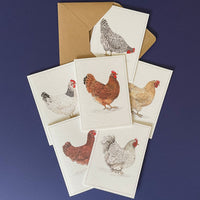 PACK 6 NOTECARDS |  MIXED CHICKENS