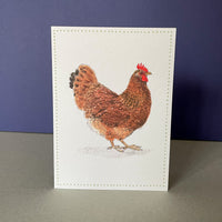 PACK 6 NOTECARDS |  MIXED CHICKENS