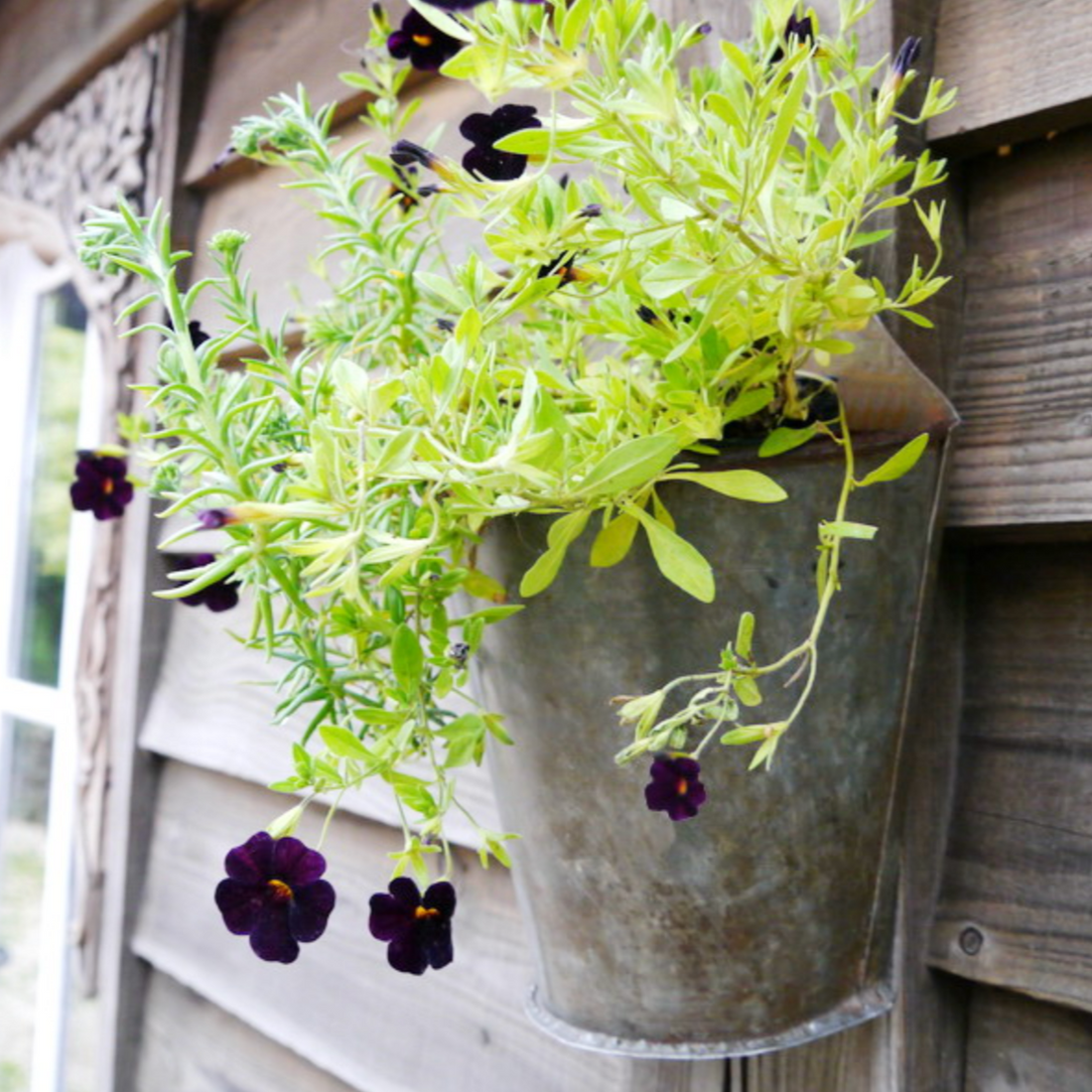 GALVANISED HALF BUCKET